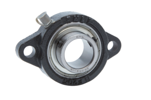 2 Bolt Diamond LF Flange