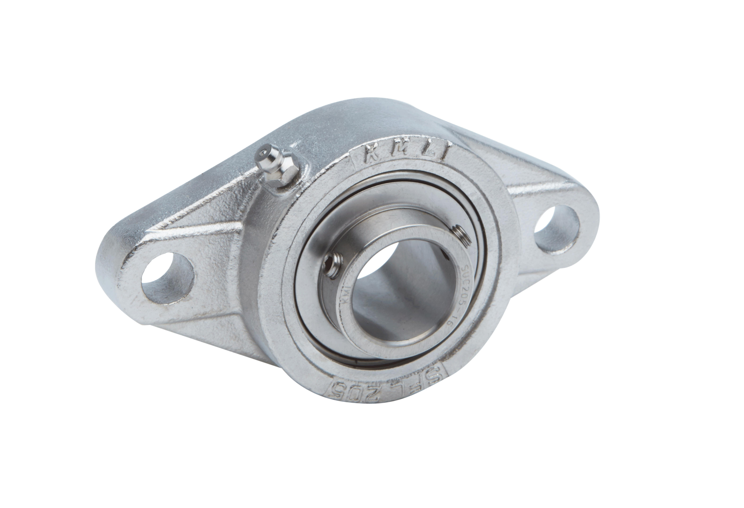 Stainless Steel 2 Bolt Flange